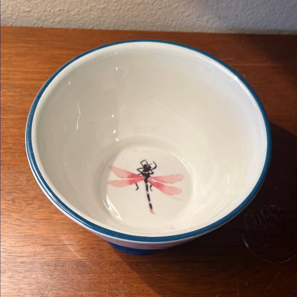 Cost Plus World Market Floral Dragonfly Bowl